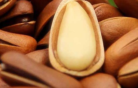 吃松子有什么好处 老年人吃松子有什么好处