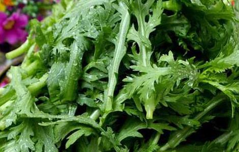 茼蒿不能和什么一起吃 茼蒿不能和什么一起吃香哈网手机版