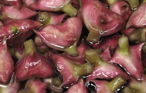 菱角可以生吃吗