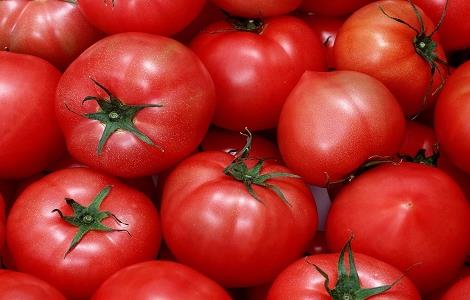 西红柿不能和什么一起吃 西红柿不能和什么一起吃 食物相克表