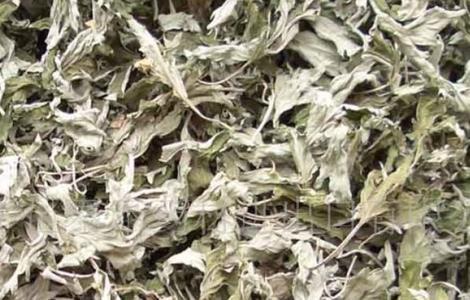 艾叶的食用禁忌 艾叶的食用禁忌有哪些