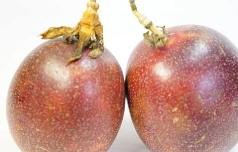 鸡蛋果的功效与作用有哪些(鸡蛋果的功效与作用有哪些图片)