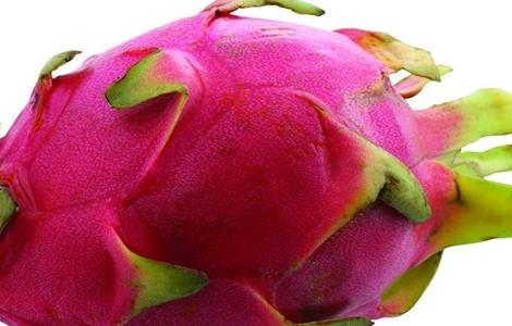 火龙果的功效与作用（火龙果的功效与作用及营养价值）