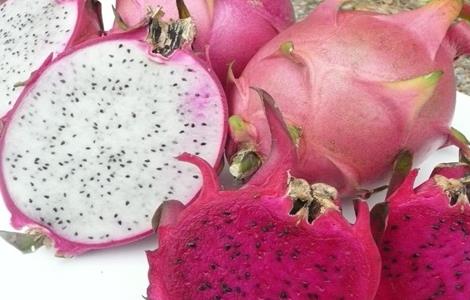 火龙果的功效与作用
