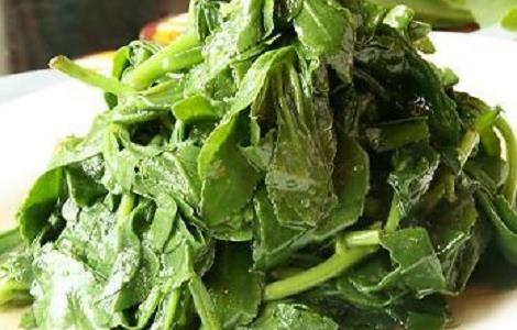 救心菜做法大全 救心菜做法大全视频