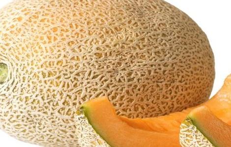 哈密瓜种子功效（哈密瓜种子功效与禁忌）