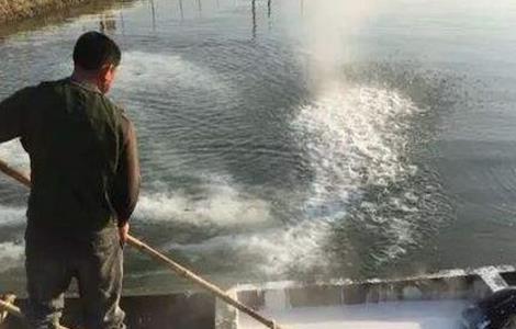 螃蟹养殖注意那几点(螃蟹养殖需要注意什么)