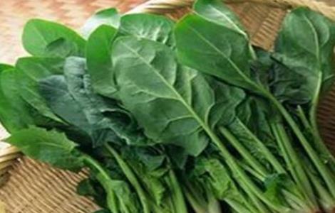 菠菜不能和什么一起吃呢（菠菜不能和什么一起吃呢视频）