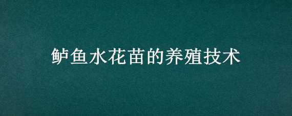 鲈鱼水花苗的养殖技术 鲈鱼水花苗的养殖技术和管理