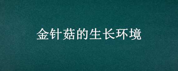 金针菇的生长环境（金针菇的生长环境简笔画）