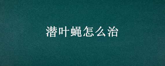 潜叶蝇怎么治（潜叶蝇病害）