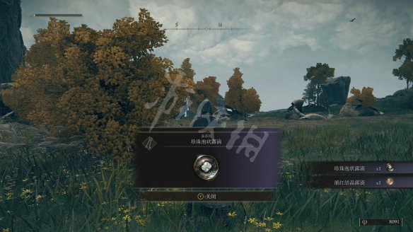 艾尔登法环图文攻略 战斗系统+BOSS打法+装备收集 操作介绍