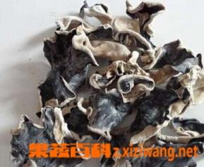 白背木耳的功效和作用 白背木耳的功效和作用及禁忌