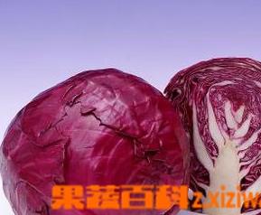 紫包菜的营养价值 紫包菜的营养价值和包菜一样吗