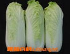 娃娃菜的做法哪些（娃娃菜的做法哪些不能吃）