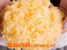 吃银耳减肥吗（吃银耳减肥吗还是增肥）