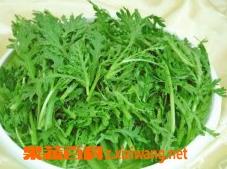 茼蒿的营养价值和功效作用(茼蒿有什么营养价值和功效)