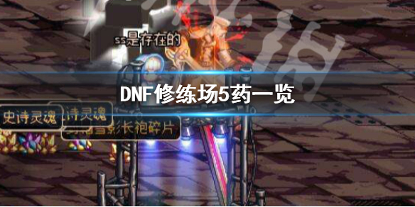 DNF修练场5药是什么（dnf修炼道场五药）