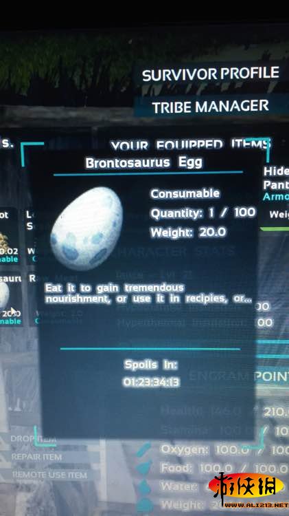 《方舟：生存进化》恐龙蛋能孵化吗（生存方舟恐龙蛋可以孵化吗）