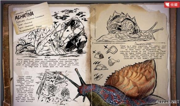 《方舟：生存进化》玛瑙螺解析攻略 方舟进化生存玛瑙螺有什么用