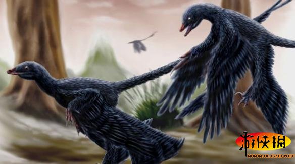 《方舟:生存进化》小盗龙数据资料解析攻略