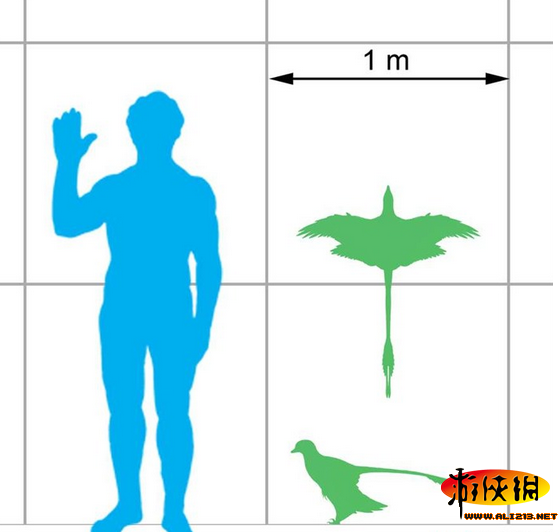 《方舟:生存进化》小盗龙数据资料解析攻略