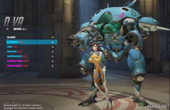 《守望先锋》D.VA皮肤介绍 守望先锋d.va新皮肤