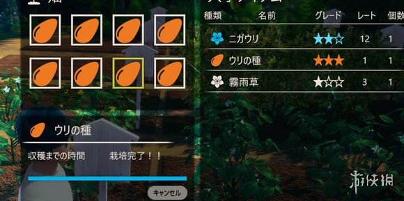 AI少女种子玩法机制说明（ai少女的玩法）