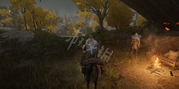 艾尔登法环隐藏npc位置地图大全 艾尔登法环隐藏npc有哪些 魔女蕾娜和召魂铃