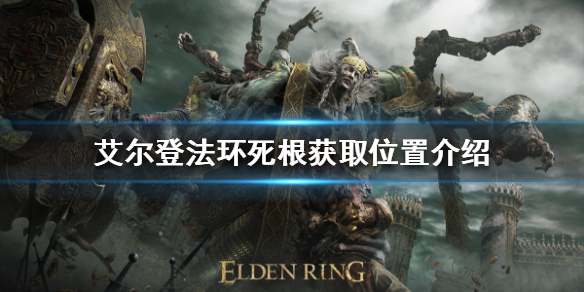 艾尔登法环死根如何获得（艾尔登法环缝合怪）
