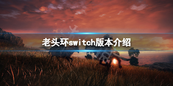 艾尔登法环switch能玩吗（艾尔登法环pc能玩吗）