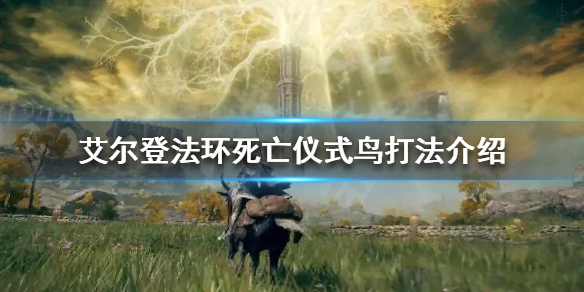 艾尔登法环死亡仪式鸟怎么打（艾尔登法环攻略）