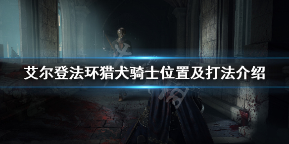 艾尔登法环达瑞威尔在哪 艾尔登法环讲的是什么