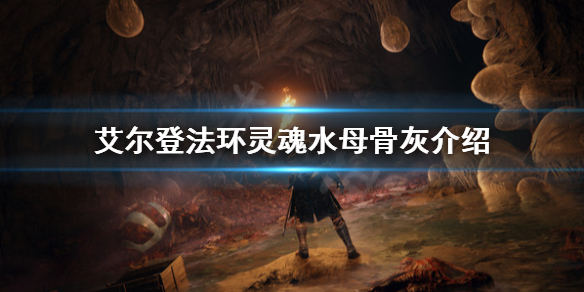艾尔登法环灵魂水母是什么（艾尔登法环为啥叫老头环）