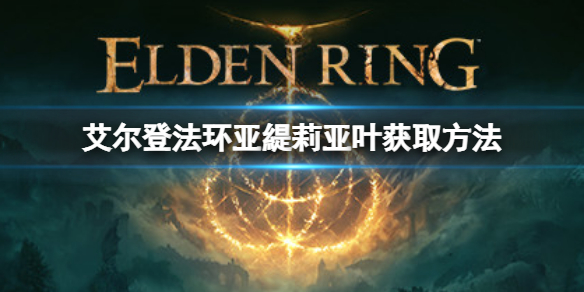 艾尔登法环亚緹莉亚叶如何获取