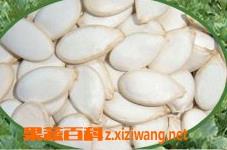 南瓜子的营养价值和功效作用 南瓜子的营养价值和功效作用及禁忌
