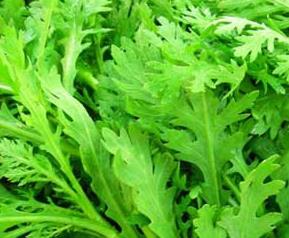 茼蒿的营养价值 青菜茼蒿的营养价值