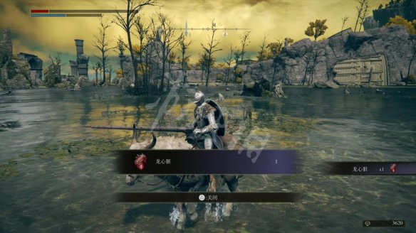 艾尔登法环全boss战打法及掉落物介绍 boss掉落什么物品 大树守卫