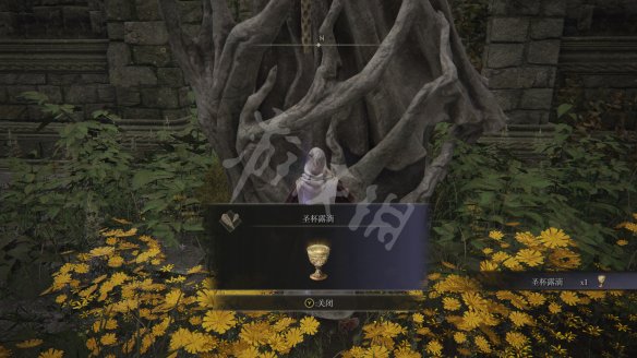 艾尔登法环图文攻略 战斗系统+BOSS打法+装备收集 操作介绍