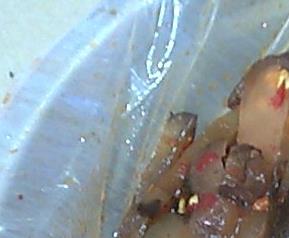 酱油洋姜的腌制方法 酱油腌洋姜的做法