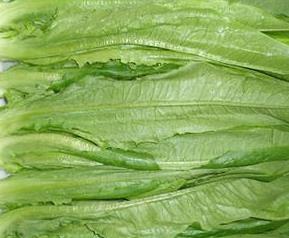 油麦菜怎么做好吃 油菜怎么做好吃