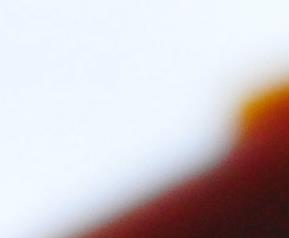 姜葱富贵黄鱼的做法