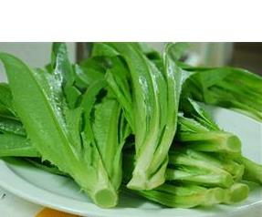 油麦菜的营养 油麦菜的营养成分