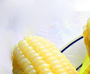 玉米除草剂种类 玉米除草剂的种类