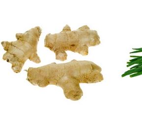 根茎类蔬菜图(根茎类蔬菜大全图)