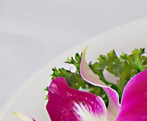 萝卜咸菜的做法 腌制白萝卜咸菜的做法