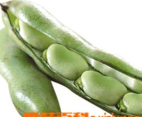 蚕豆冷冻方法（蚕豆冷冻方法图片）