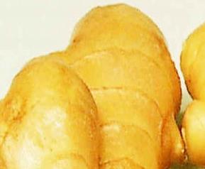 鲜姜怎么吃（鲜姜怎么吃好吃）