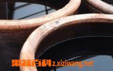 月经期能喝陈醋吗（来月经可以喝老陈醋吗）