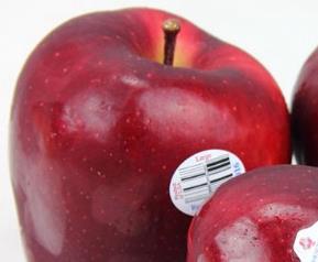 蛇果的营养价值 蛇果的营养价值和苹果一样吗